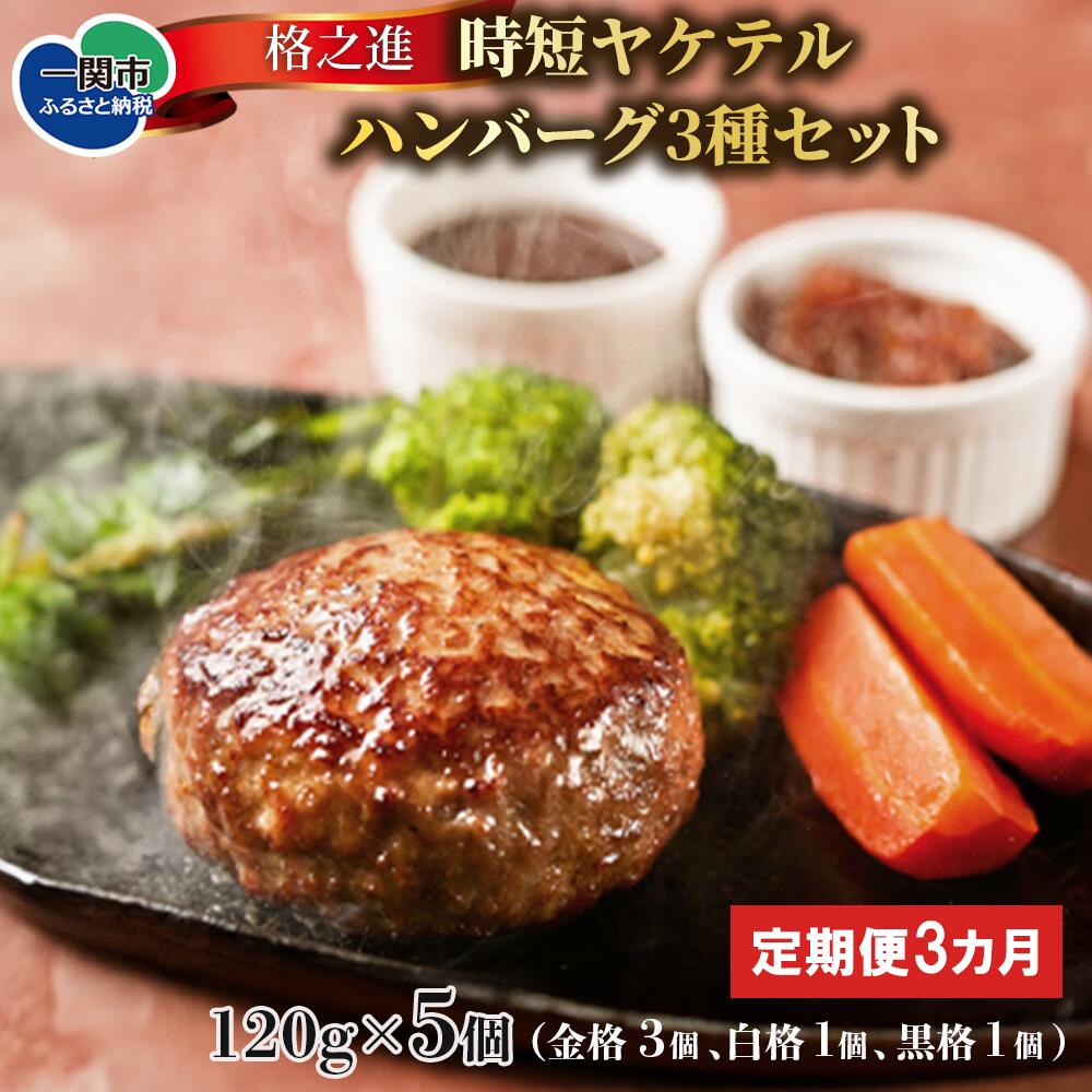 【ふるさと納税】【 定期便 3ヶ月 】 格之進 ヤケテル ハンバーグ 3種 セット ( ヤケテル金格3個 ヤケテル白格1個 ヤケテル黒格1個 合計5個 ）【 冷凍 時短 湯煎 簡単 レトルト 高級 国産 肉 牛肉 豚肉 お弁当 お惣菜 個包装 小分け ギフト 人気 岩手 一関 】