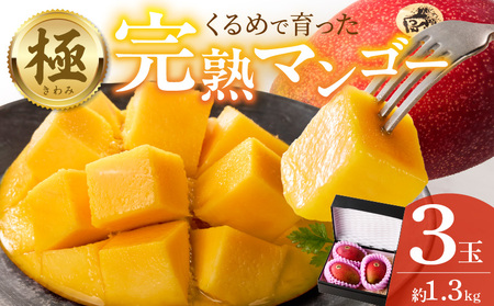 【2026年6月以降お届け】極　完熟マンゴー（3玉：約1.3kg）_完熟マンゴー 3玉 約 1.3kg 久留米産 平均糖度 17度～18度 完熟 マンゴー 国産 フルーツ トロピカルフルーツ 果物 デザート 冷蔵 クール便 お取り寄せ お取り寄せフルーツ 福岡県 久留米市 送料無料_Fm019