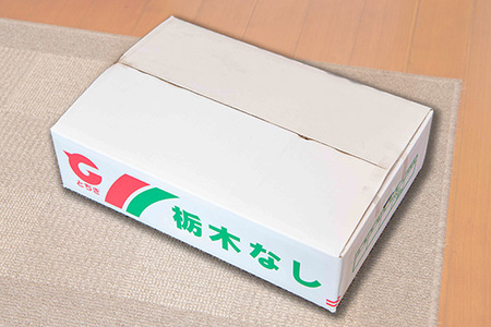 梨 5kg箱 幸水 豊水 秋月 栃木県 宇都宮市産 ※離島への配送不可