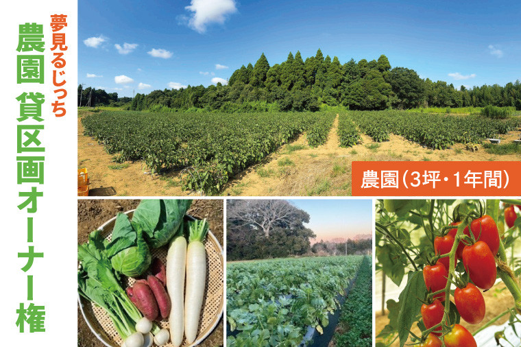 
夢見るじっち　農園 貸区画オーナー権（3坪・1年間）貸し農園　自家栽培・収穫体験・農業体験　数量限定(FJ-19)
