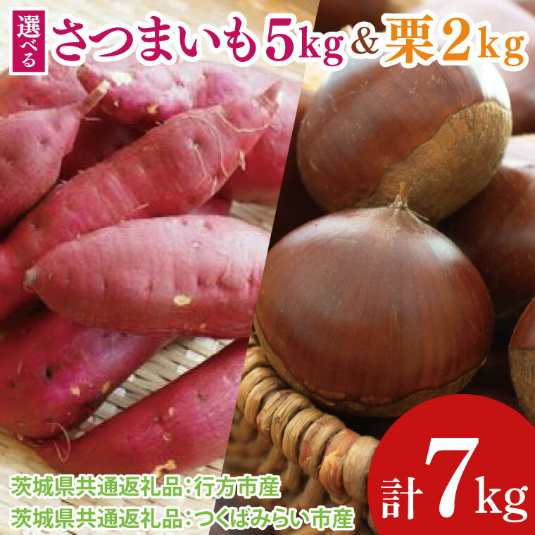 【ふるさと納税】【選べる品種】【先行予約】【2025年9月より順次発送】さつまいも5kg と 栗2kg（茨城県共通返礼品：行方市、つくばみらい市）｜さつまいも サツマイモ くり セット 数量限定 茨城県 大子町（CD121）