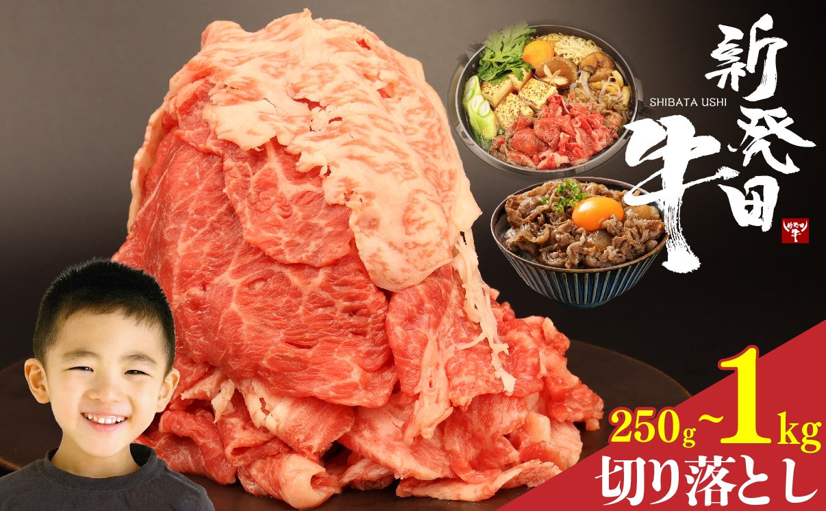 
            牛肉 切り落とし 250g 500g 1kg 肉 和牛 霜降り ブランド牛 新発田牛 にいがた和牛 しゃぶしゃぶ 小分け 小間切れ 新潟県 新発田市 新潟 新発田 アルビレックス アルビレックス新潟 近江牛 神戸牛 松阪牛 米沢牛 三大和牛 に負けない えのもとミート enomoto001P
          
