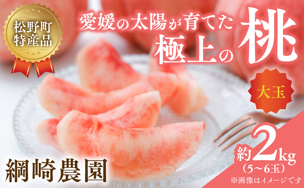 【2026年出荷分先行予約】愛媛の桃どころ 「綱崎農園」から届ける大玉桃 約2kg ｜ ふるさと納税 桃 冷蔵 松野町 フルーツ ギフト ※北海道・沖縄・離島への配送不可 ※2026年6月中旬～8月中