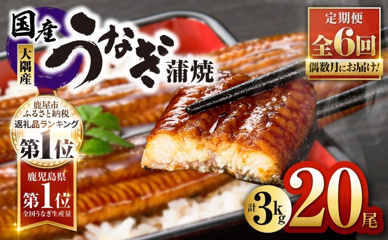 
            2084-1 鹿児島県大隅産うなぎ蒲焼20尾（3kg）【6ヶ月定期】　KN007-T06
          