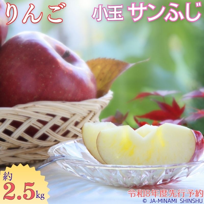 【ふるさと納税】J13 サンふじ（小玉）約2.5kg サンふじ 小玉 2.5kg