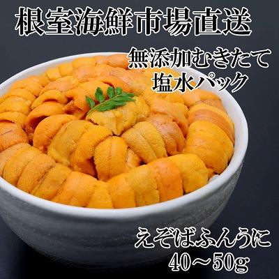 ふるさと納税 根室市 エゾバフンウニ(赤系)塩水パック40〜50g×1P G-28069
