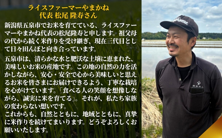 【先行予約】令和8年産 12ヶ月定期便 五泉市産 特別栽培米 コシヒカリ 5kg(5kg×1袋)