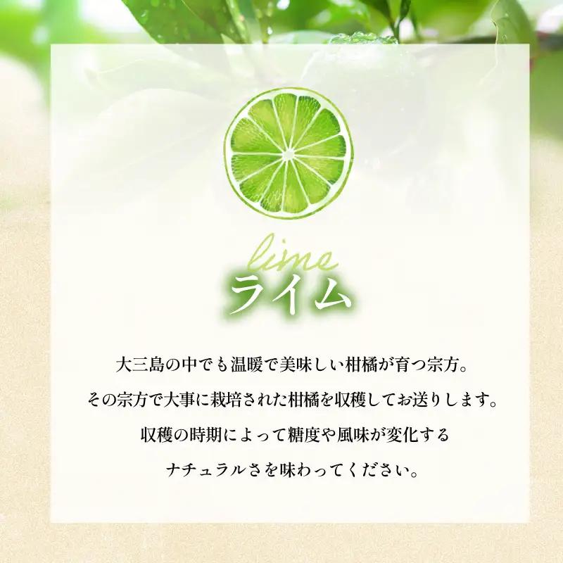 【先行予約】宗方印 ライム（家庭用）約1kg