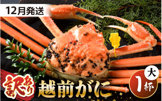 【先行予約】【訳あり】 茹で「越前ズワイ蟹」 大 1杯 脚折れ 【2026年12月発送分】【わけあり ワケアリ カニ かに 蟹 越前ガニ 越前蟹 ずわいがに ズワイガニ ズワイ ボイルガニ 姿 ボイル 冬の味覚 冷蔵 国産 県産】 [I-1401_12]