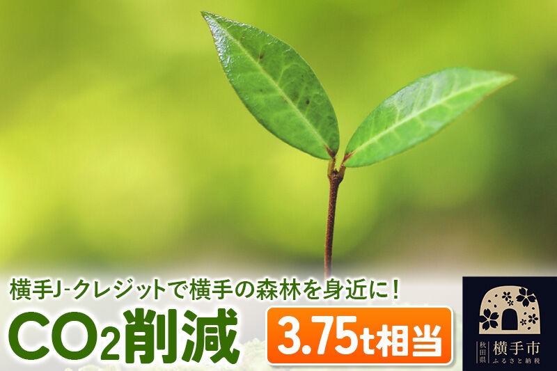 
横手J‐クレジットで横手の森林を身近に! CO2削減 3.75t相当
