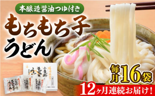 【全12回定期便】もちもち子 うどん 16食《豊前市》【富士菊】うどん 麺[VAI069]