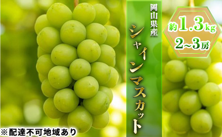 ぶどう 2026年 先行予約 シャイン マスカット 約1.3kg 2～3房 シャインマスカット