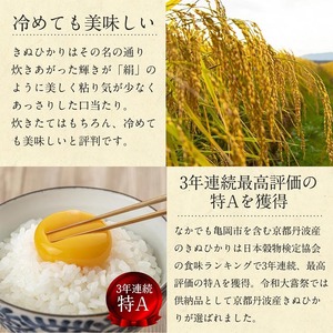 【3回定期便】【無洗米】丹波産キヌヒカリ 10kg 真空パック 無洗