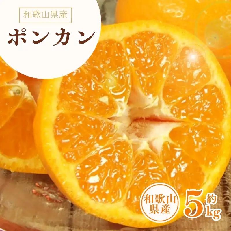 ポンカン 約5kg/サイズおまかせ　※2027年1月下旬～2月下旬頃に順次発送予定(お届け日指定不可)　紀伊国屋文左衛門本舗　【kztb451B】