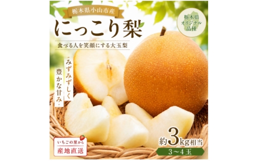 栃木県産 にっこり梨 3～4玉(約3kg)【1745253】