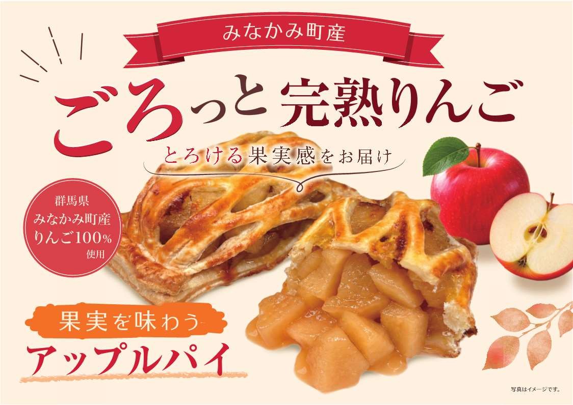 
                  【MINAKAMI APPLEPIE Moi！】果実を味わうアップルパイ　６個入り
                