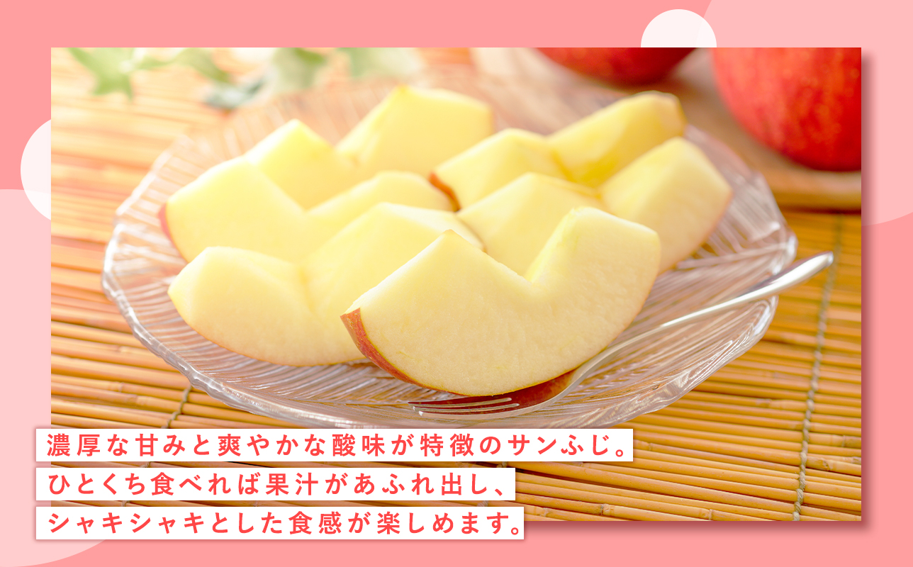 1月 葉取らずサンふじりんご 約5kg 訳あり 家庭用【青森県 平川市 森山商店 】