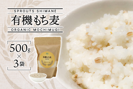 有機もち麦 3袋 1500g｜お米 もち麦 食品 無農薬 食物繊維 有機栽培 SS-4