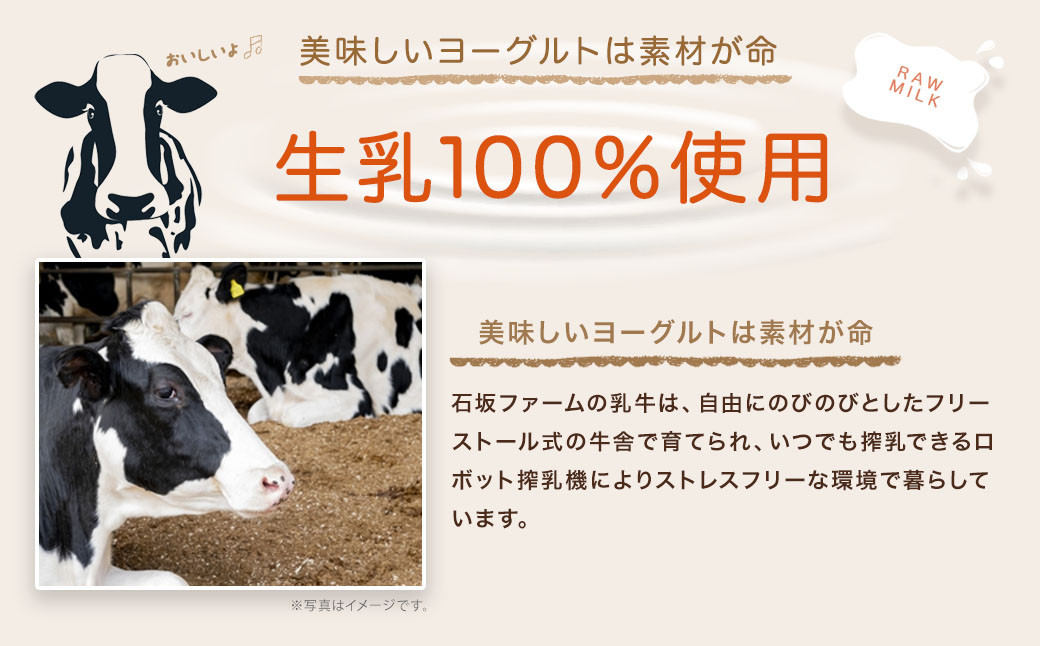 石坂ファームの100%ヨーグルト（きび砂糖）1kg