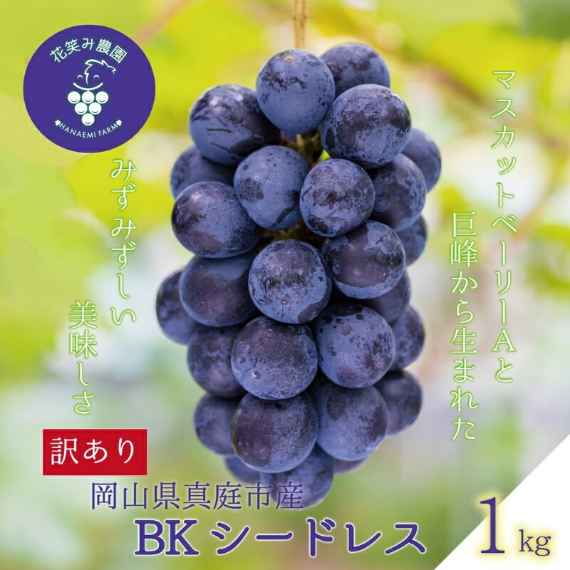 【ふるさと納税】 岡山　花笑み農園の『訳ありBKシードレス』1kg　WB-1 hana62【2025年9月中旬〜順次発送】真庭 国産 産地直送 フルーツ 葡萄 ぶどう ブドウ 果物 濃厚 ジューシー 種なし 甘い 子ども 先行予約 数量限定 規格外 お得人気【配送不可地域：離島】【1596619】
