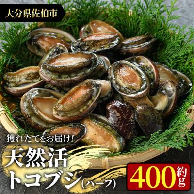 ふるさと納税 佐伯市 天然活きトコブシ (約400g・ハーフサイズ)