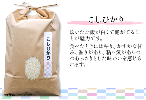 604 コシヒカリ 10kg