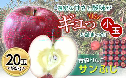 青森りんご サンふじ 約5kg (小玉20玉) 【マルス果樹園】 ふじ りんご リンゴ 林檎 アップル 小玉 食べきり 果物 くだもの フルーツ あおもり 青森 青森県 南部町 三戸 南部 F21U-101