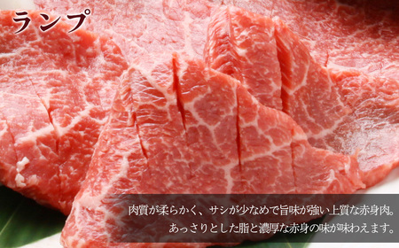 A5飛騨牛 ミックスカルビ・ランプ焼肉 570g（285g×2）【冷凍】冷凍配送 らんぷ 飛騨牛 下呂温泉 おすすめ 牛肉 肉 和牛 赤身 人気 ブランド牛 肉ギフト 国産 贈答品 焼き肉用 ギフト 