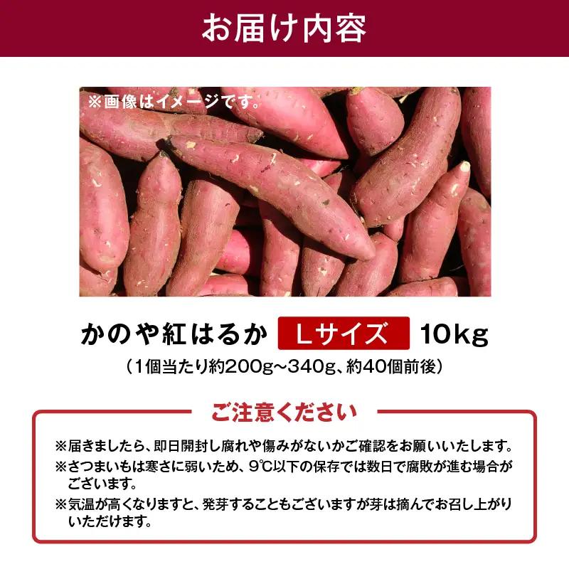 1676 かのや紅はるか 生芋 Lサイズ 10kg KN011-003-02 菓子 さつまいも 野菜