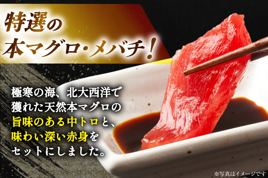 本マグロ・メバチセット [川印　村田漁業 宮城県 気仙沼市 20563739]魚 海鮮 魚介 まぐろ 鮪 メバチマグロ 刺身 本マグロ
