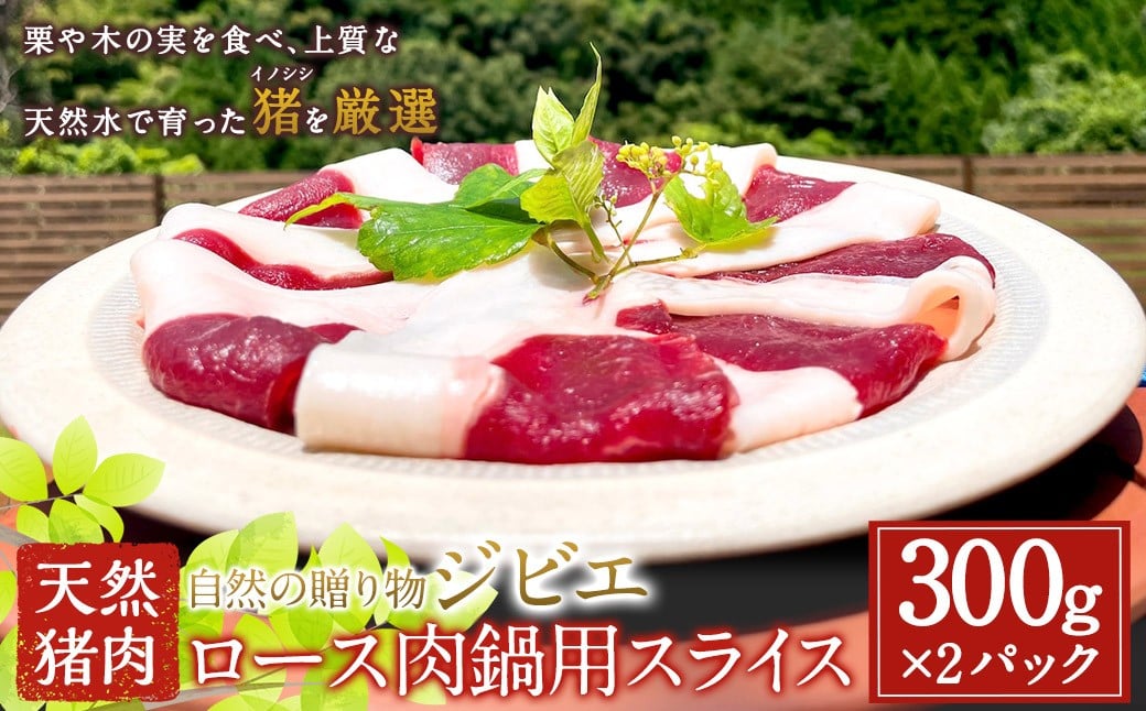 
            【ジビエ】天然猪肉ロース肉鍋用スライス 300g×2パック【2025年11月上旬～2026年3月下旬 出荷予定】ジビエ 肉 猪肉 BBQ ロース お肉 スライス 肉鍋用 送料無料 福岡県 うきは市
          