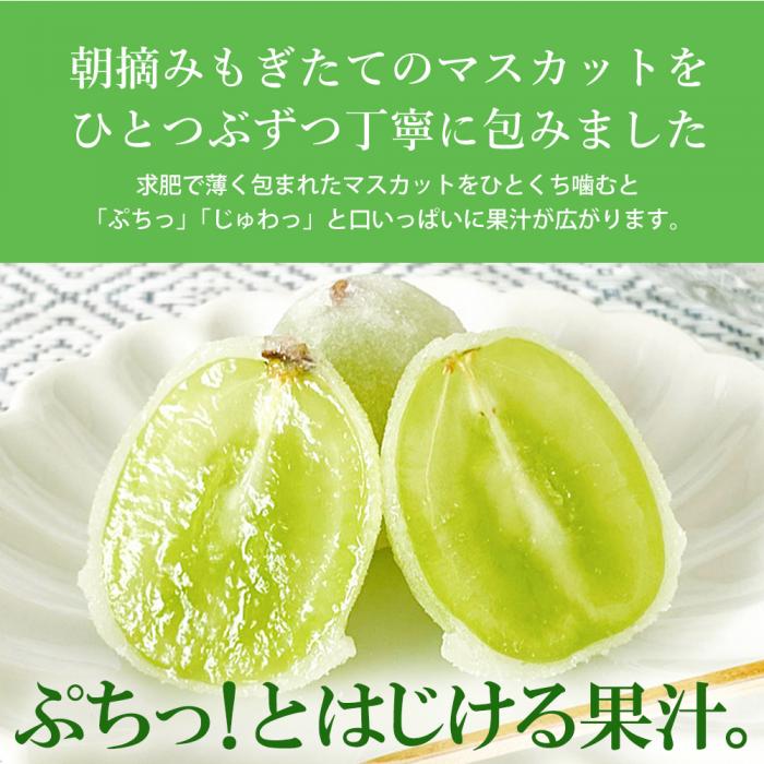 ＜先行受付＞ひとつぶの シャインマスカット 選べる個数 6個入 好評にて夏の定番商品化決定！共楽堂 シャインマスカット もぎたて 夏季限定 晴王 求肥 スイーツ 和菓子 018011