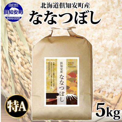 ふるさと納税 倶知安町 北海道 倶知安町産 ななつぼし 精米 5kg 数量限定 【2026年3月出荷】