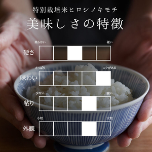 【6回定期】特別栽培米 コシヒカリ ヒロシノキモチ 玄米 5kg 総計30kg 陽咲玲 米 お米 コメ ご飯 ごはん 富山県産 富山県 立山町 F6T-1003