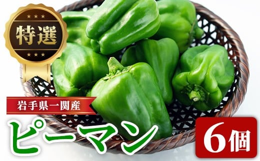 
            先行予約 【特選】ピーマン 6個《朝採り新鮮／農家直送》【2026年6月上旬から発送予定】 岩手県 一関市産
          