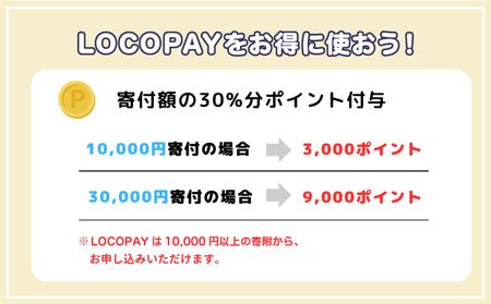 LOCOPAYデジタル返礼ポイント【30,000ポイント】_B167-004