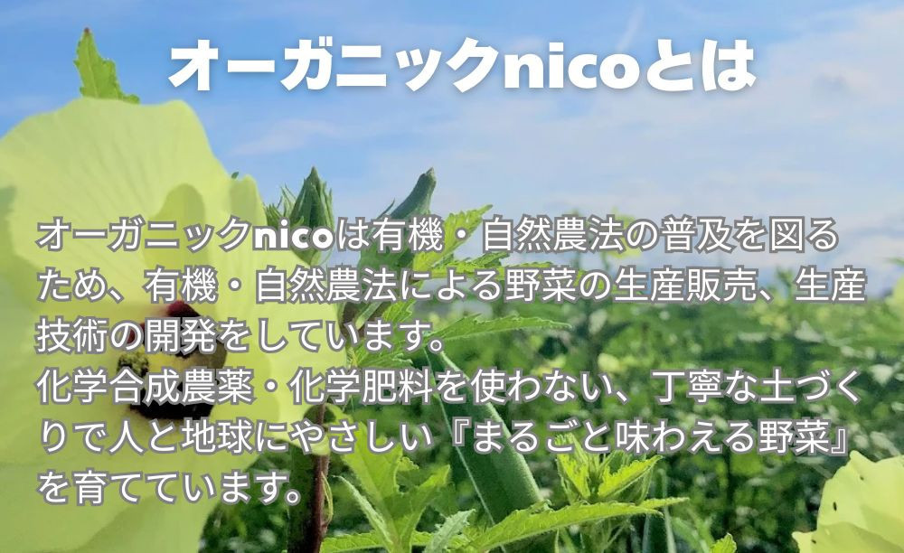 【オーガニックnico】有機イチゴで作ったジャムとシロップの詰め合わせ｜無添加 人気 有機いちご 無添加セット［ 京都 有機 JAS認定 オーガニックいちご 無添加 無着色フルーツ 果物人気 おすすめ