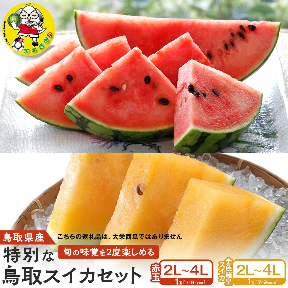【ふるさと納税】1118.旬の味覚を2度楽しめる、特別な鳥取スイカセット（こちらの返礼品は、大栄西瓜ではありません） | 西瓜 スイカ 果物 フルーツ 鳥取県 北栄町 おすすめ 人気 新鮮 セット
