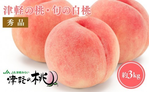 
                  ≪8月中旬～8月下旬発送予定≫津軽の桃 旬の白桃 約3kg 秀品 フルーツ 果物 桃 もも モモ 白桃 ピーチ 青森県 平川市 平川市産 光センサー 贈答 お取り寄せ デザート 先行予約 旬
                