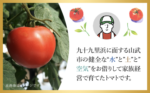 【先行予約/10月中旬発送開始】松村さんちのトマト1箱（20～24個・約4kg）/ トマト とまと 野菜 夏野菜 先行予約 千葉県 山武市 SMAE002