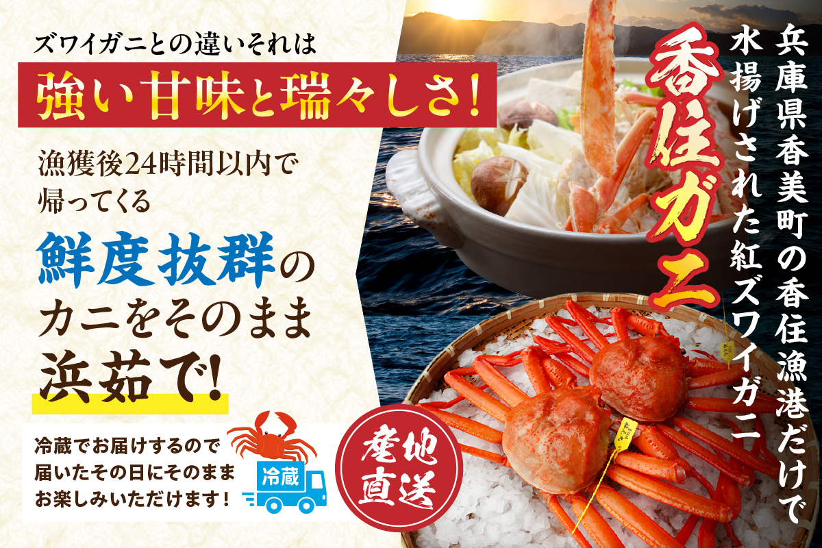 【香住ガニ 釜茹で ボイル 大きめ 約600g×2匹（約1.2kg以上）冷蔵】【先行予約】令和7年9月中旬以降順次発送予定 大人気 人気 ランキング ふるさと納税 返礼品 おすすめ 国産 しゃぶ かに