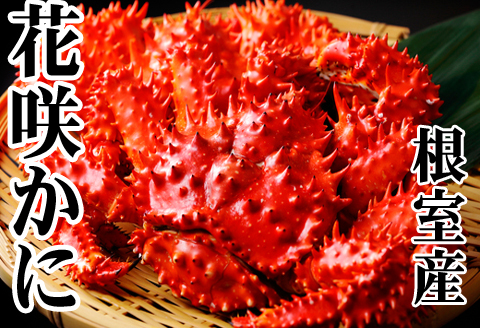 【北海道根室産】花咲かに500～650g×6尾 D-36045