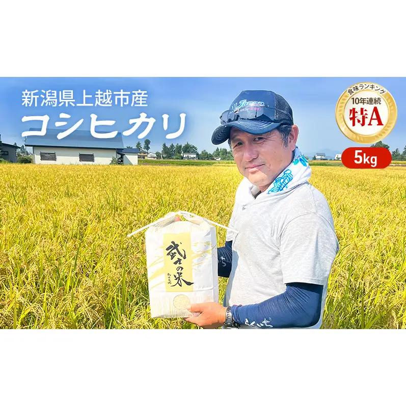 隔月5ヶ月定期便 令和8年 新潟県産 特別栽培米 コシヒカリ 5kg 5キロ（5回配送 計25kg） 11月配送開始 上越市 清里区 丸山農場 精米 従来品種 希少 こしひかり 限定 送料無料