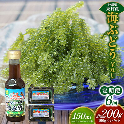 【ふるさと納税】【定期便：6回】美ら海 沖縄県産 海ぶどうセット／茎なし200g（100g×2パック）ポン酢付 海ブドウ 海ぶどう うみぶどう パック 茎なし クビレズタ たれ付き 海鮮 海藻 プチプチ おつまみ 沖縄料理 ご当地 特産品 グルメ 人気 居酒屋 常温 沖縄県 東村