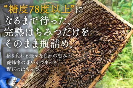 使いやすいポリ容器入り 非加熱生はちみつ 百花 300g 2本 純粋生はちみつ