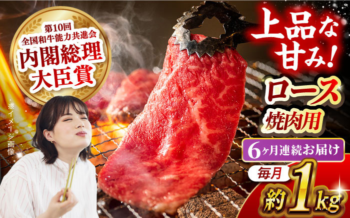 
            【月1回約1kg×6回定期便】長崎和牛 ロース 焼肉用 計6kg 長崎県/長崎県農協直販 [42ZZAA169]  肉 牛 和牛 ロース 焼肉 焼き肉 西海市 長崎 九州 定期便
          