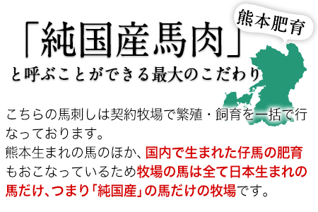 手作りハン馬ーグ 100g×10個 馬肉100%配合！【熊本肥育】ハンバーグ たっぷり 冷凍 お中元 肉 お手軽 お取り寄せ《30日以内に出荷予定(土日祝除く)》｜人気ハンバーグ 大人気返礼品 ブラン