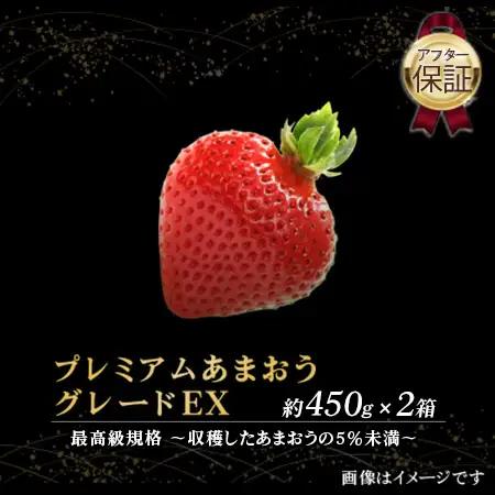 いちご 【超プレミアム】博多あまおういちご EX （約450ｇ×2P）AG014