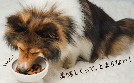 ワンちゃんのおやつ 牛 ４袋 ドッグフード 犬 おやつ 無添加 グルテンフリー 国産