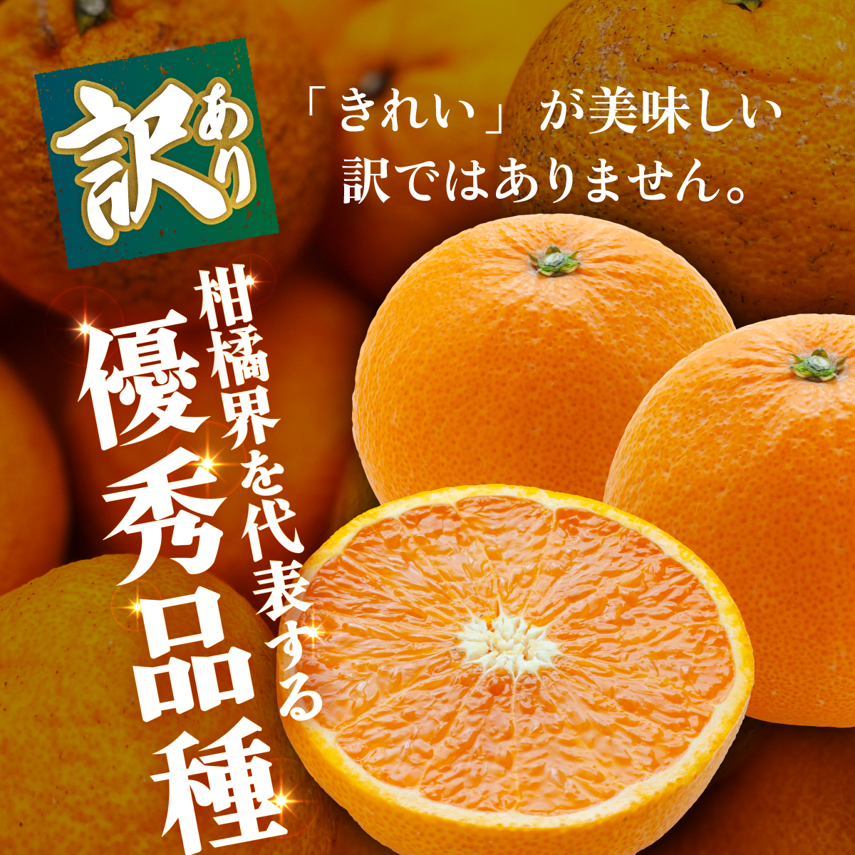 ＜【訳あり】愛媛県産 清見 約1.5kg＞『2027年2月上旬～4月下旬迄順次発送予定』 わけあり ジューシー 果肉 訳アリ きよみ みかん 柑橘 蜜柑 果物 くだもの フルーツ ミカン 果汁 国産 
